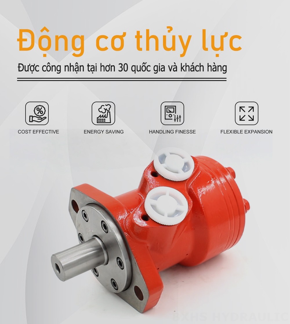 Mô-tơ thủy lực Cycloid BMP 50 cc/vòng 38 L/phút Mô tơ thủy lực